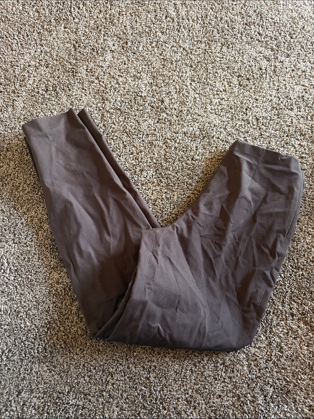 Eddie Bauer Brown Stretch Pull-On Pants